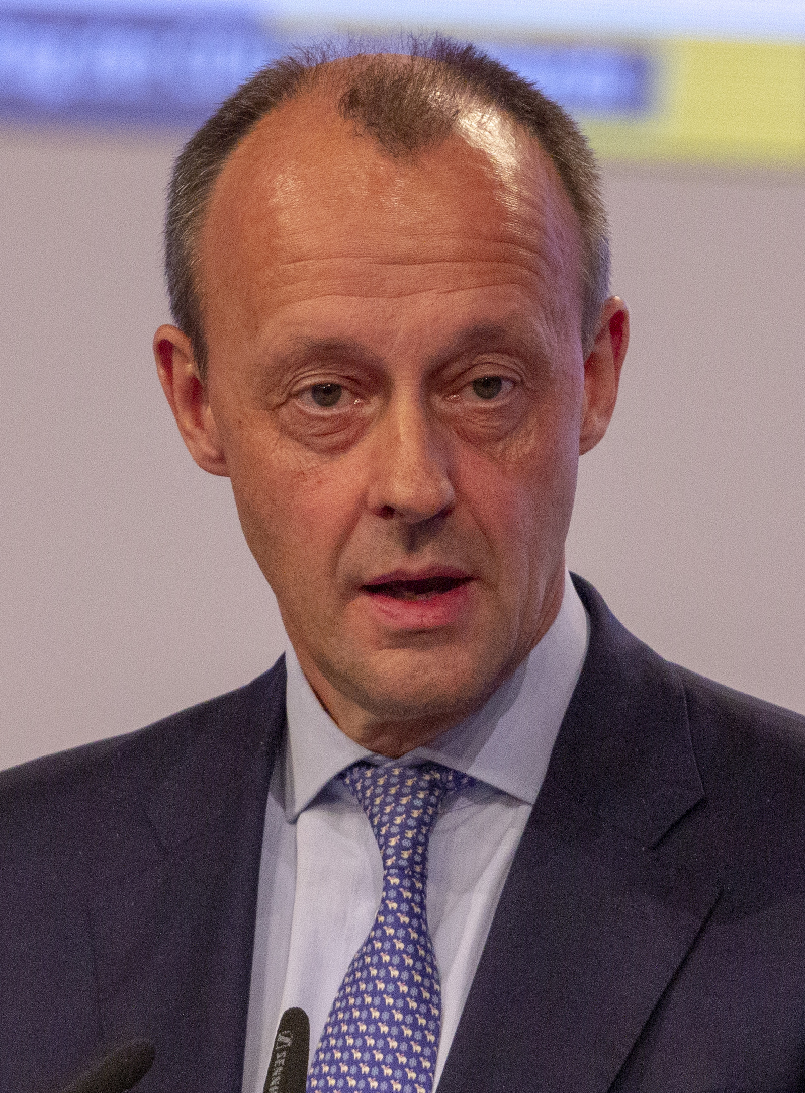 Friedrich Merz